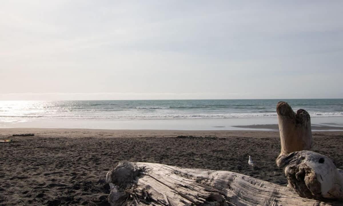 The Dunes At Fitzroy Beach Unit 2 นิวพลีมัธ ภายนอก รูปภาพ